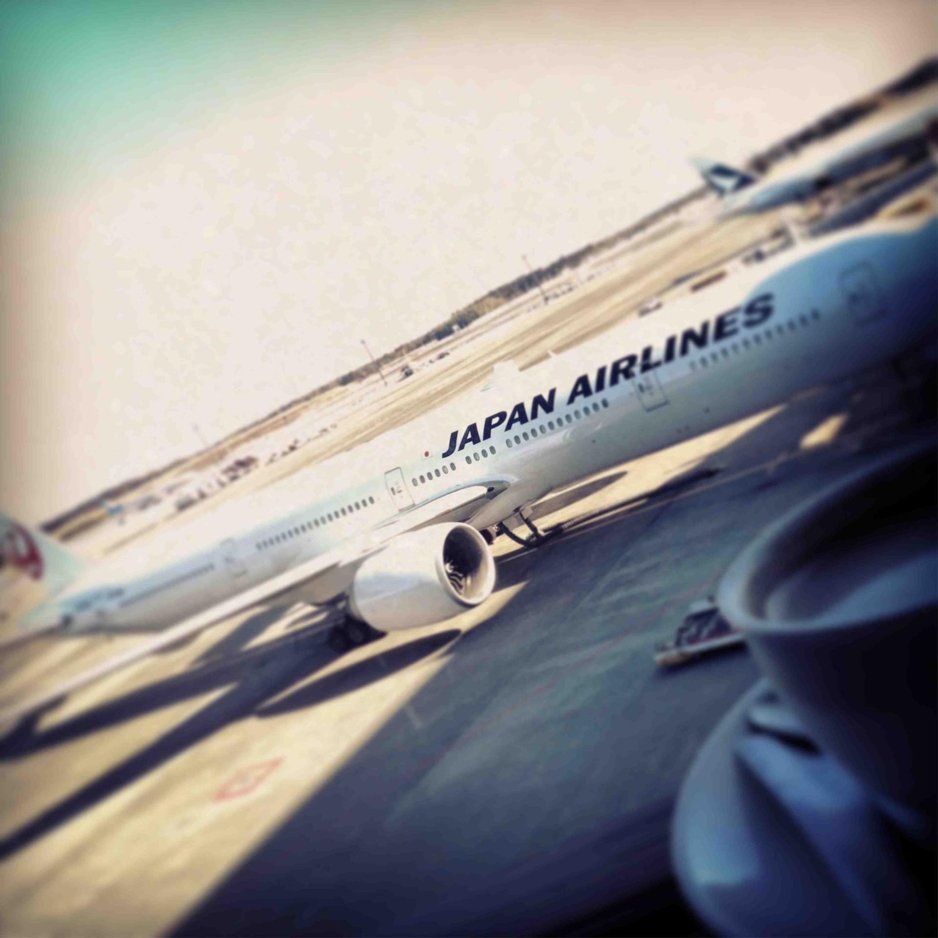 Japan Airlines JAL Sakura Lounge image 21 of 25