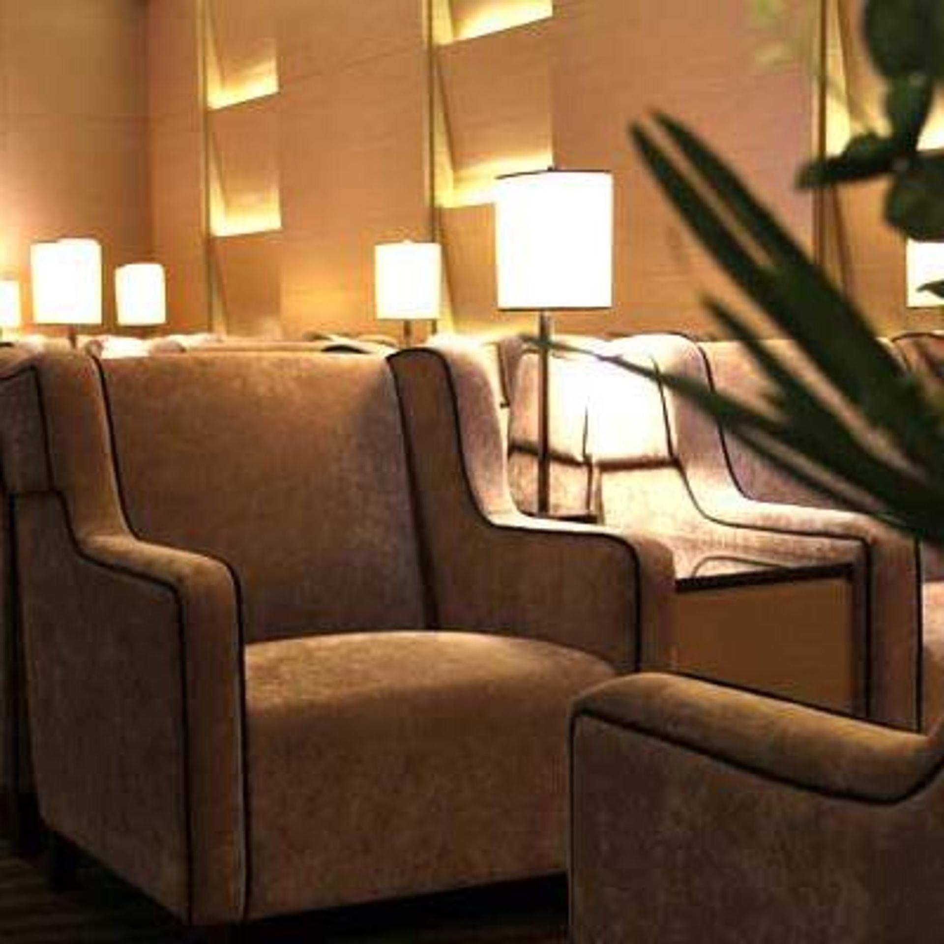 Plaza Premium Lounge (Domestic Departures) image 6 of 39