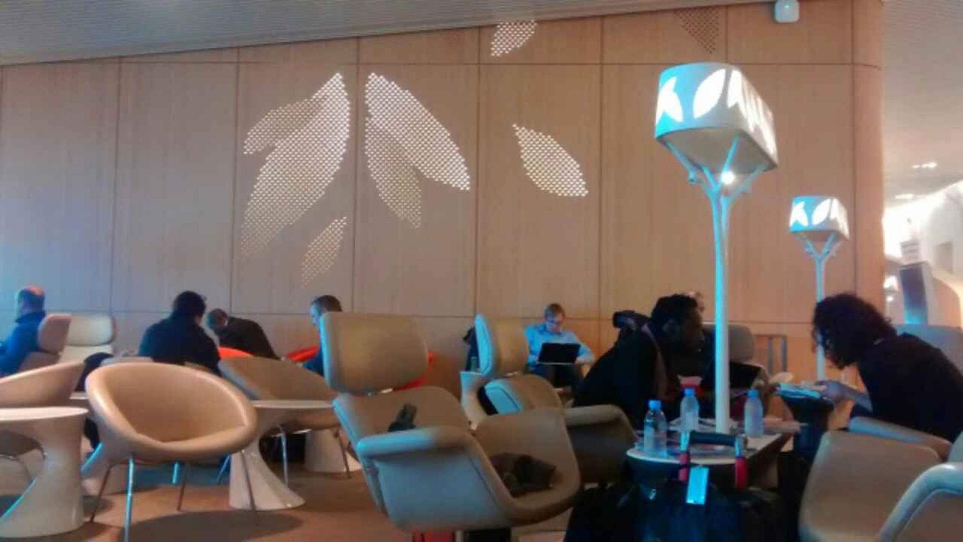 Air France Lounge (Concourse M) image 4 of 17