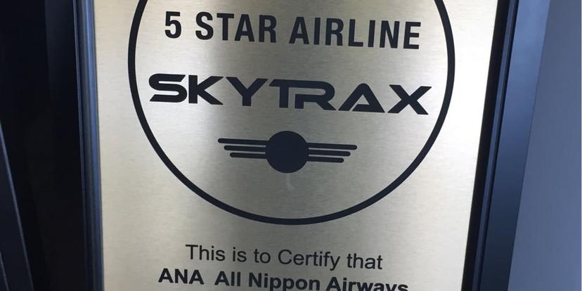 All Nippon Airways ANA Signet image 4 of 5