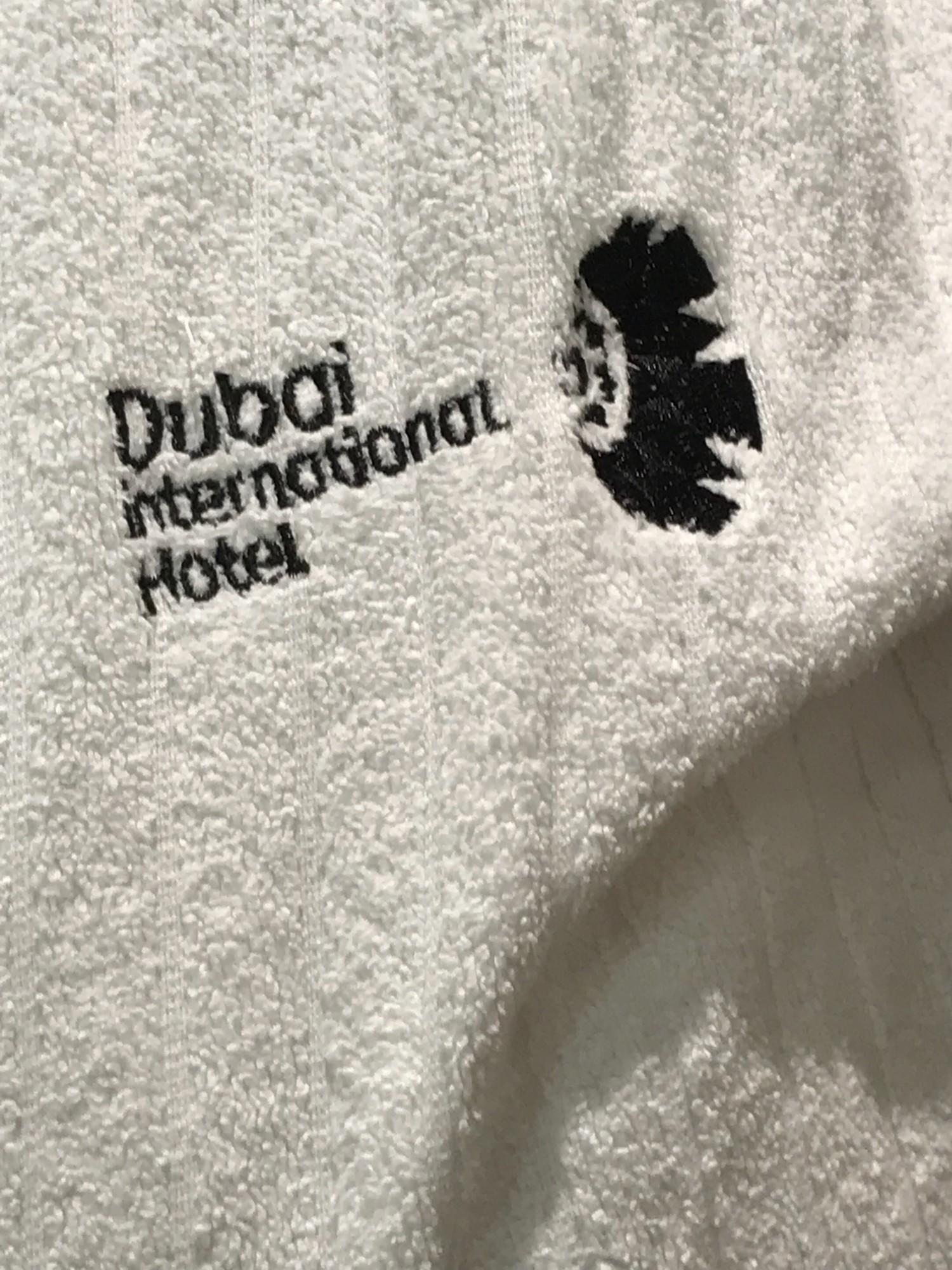 Dubai International Hotel (Concourse A) image 2 of 23